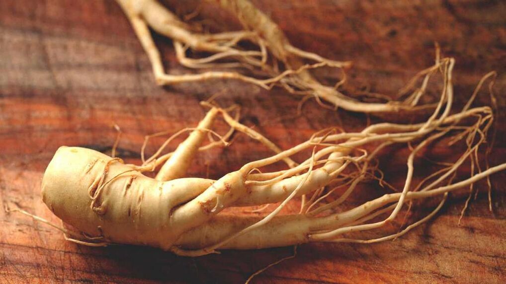 akar ginseng pikeun ngaronjatkeun potency